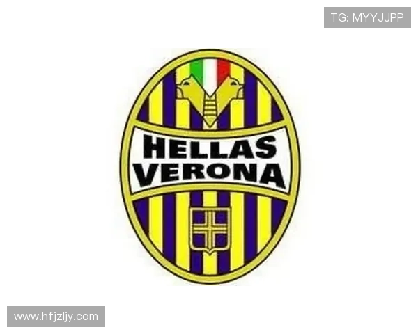 维罗纳足球俱乐部历史沿革及其在意甲联赛中的崛起与挑战
